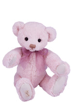 Load image into Gallery viewer, SOLD OUT! TEDDY AURORA / DEAN&#39;S PLUSH LIMITED BEAR