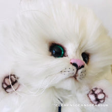 Load image into Gallery viewer, CAT MUFFIN / CLEMENS HIGH QUALITY SOFT PLUSH ARTIST LIMITED CAT