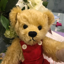 Load image into Gallery viewer, TEDDY FREDDIE / DEAN&#39;S MOHAIR LIMITED BEAR